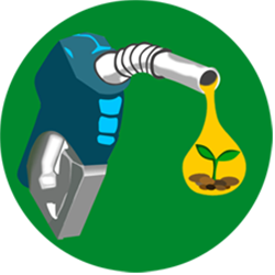Biomass Energy